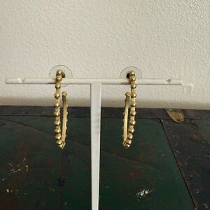 Spartina Earrings